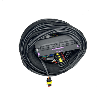 4 xi lanh ECU Khai thác phun nhiên liệu đa điểm 56 Pin CNG LPG Khai thác tự động