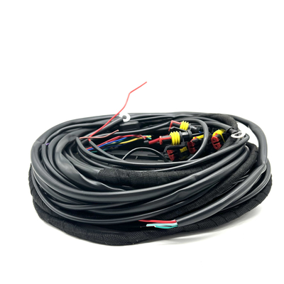 56 Pin ECU Khai thác dây Đa điểm CNG LPG Kết nối phun nhiên liệu Khai thác dây