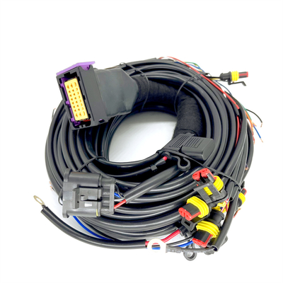 CNG LPG Sequential Injection 24 Pin Xe hơi Khai thác dây cho ECU 4 xi lanh