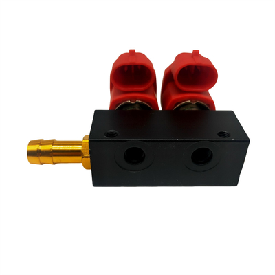 LLANO LN-VTK02 Đường ray phun 2 xi lanh cho hệ thống nhiên liệu ô tô GPL GNV