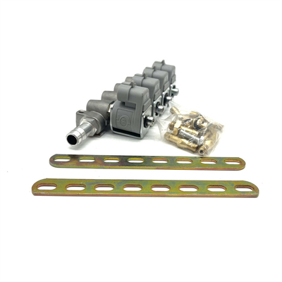 Hệ thống phun nhiên liệu LPG CNG 2 Ohm hoặc 3 Ohm Đường ray phun màu xám cho Autogas