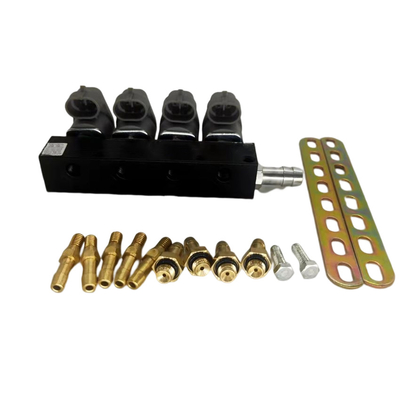 2 Ohm 3 Ohm Điện trở Đen LN-LIG1S Đường ray đầu phun LPG CNG cho Autogas