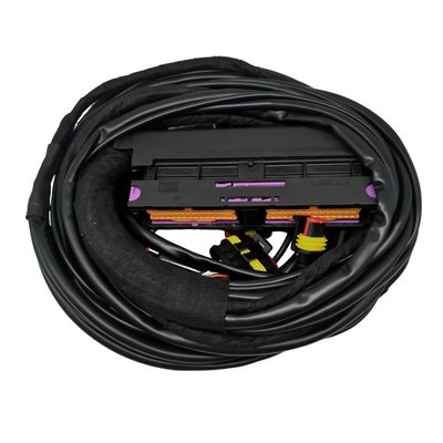 Dây dây chuyền dây chuyền ô tô Loại kết nối đa cho hiệu suất 12V tối ưu