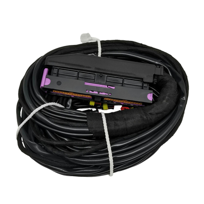 56 Pin ECU dây chuyền dây chuyền với nhiều đầu nối và PVC bảo vệ ống
