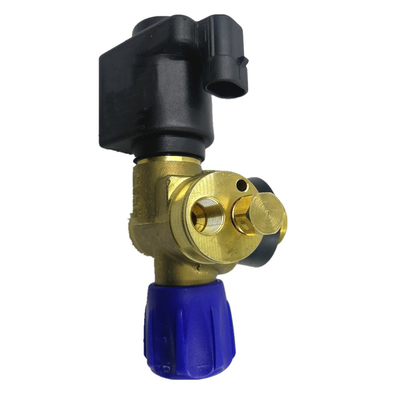 Van xi lanh điện từ CNG Van khí ô tô DC12V cho hệ thống nhiên liệu khí tự động