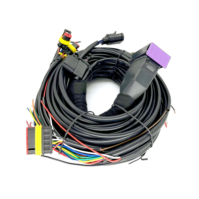 CNG LPG Sequential Injection 24 Pin Xe hơi Khai thác dây cho ECU 4 xi lanh