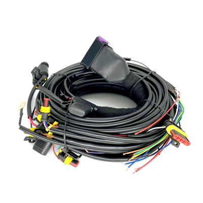 CNG LPG Sequential Injection 24 Pin Xe hơi Khai thác dây cho ECU 4 xi lanh