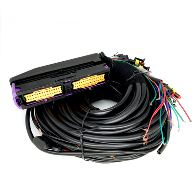 Đa điểm CNG LPG Ô tô Khai thác dây điện 56 chân cho ECU 6 xi lanh