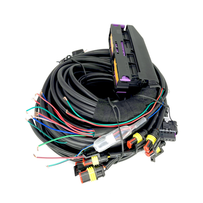 Đa điểm CNG LPG Ô tô Khai thác dây điện 56 chân cho ECU 6 xi lanh