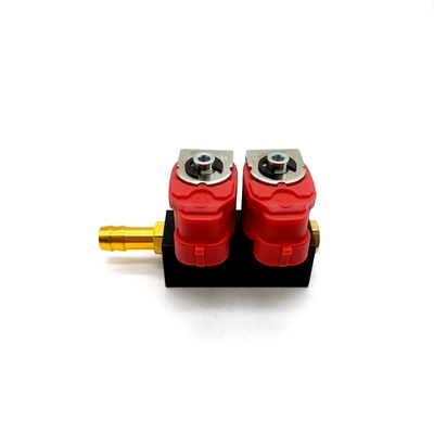 2 xi lanh 3Ohm CNG LPG Vòi phun Rail Đường sắt phun nhiên liệu cho hệ thống chuyển đổi tự động