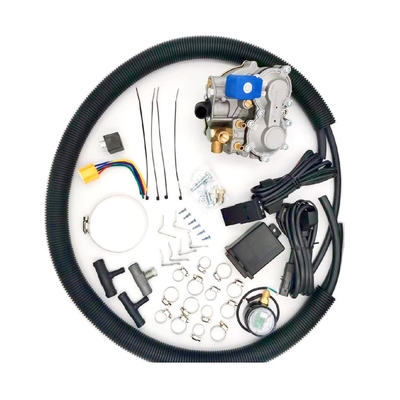 Phun xăng điện tử Bộ chuyển đổi khí đốt CNG LPG Đơn điểm ODM
